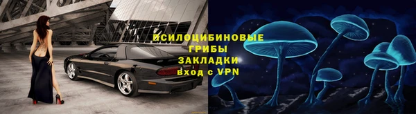 крисы Беломорск